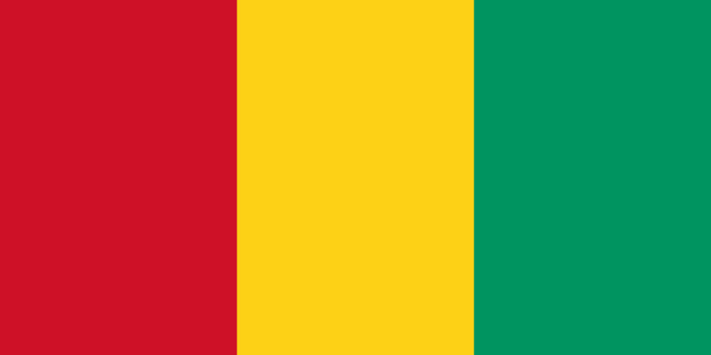 ABOUZEID-Flag_of_Guinea